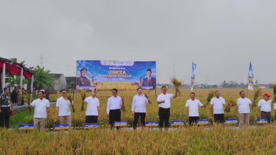 Sinergi Kejaksaan dan TNI AD, Panen Raya Program Jaksa Mandiri Pangan Digelar di Bekasi