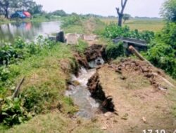 PJT II Tinjau dan Perbaiki Tanggul Irigasi BKG 16A di Pebayuran, Bekasi