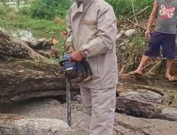 Aksi Sigap Aparat di Pebayuran, Pohon Tumbang Berhasil Dievakuasi, Lalu Lintas Kembali Lancar